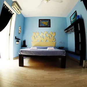 Bed & Breakfast B&B San Leone